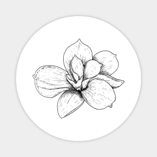 Magnolia Magnet